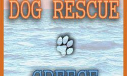 Dog Rescue Greece logo old