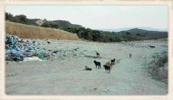 Nieuws - Aspropyrgos en Loutraki - overzicht terrein
