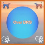 DRG De Stichting 1 Over DRG