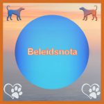 DRG De Stichting 4 Beleidsnota