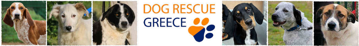 Dog Rescue Greece