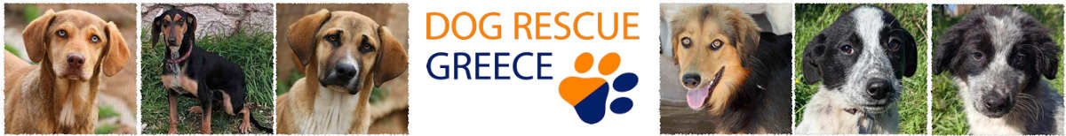 Dog Rescue Greece