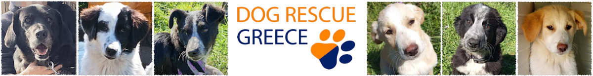 Dog Rescue Greece