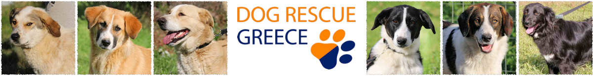 Dog Rescue Greece