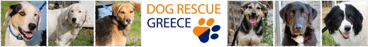 Dog Rescue Greece