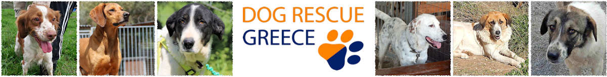 Dog Rescue Greece