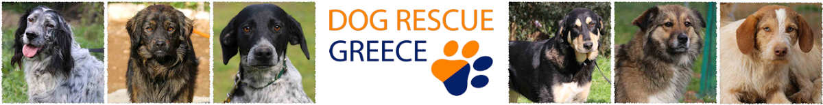 Dog Rescue Greece